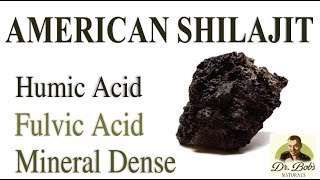 American Shilajit Understanding Humic and Fulvic Acids [upl. by Orabla460]