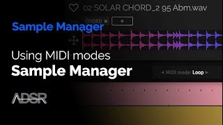 Using MIDI modes in ADSR Sample Manager   FREE plugin Download [upl. by Ahouh273]