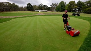 Why You Should Groom Your Lawn  Thatch and Mat [upl. by Neerom60]