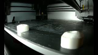 Gustav Turtle Bambu Lab 3D Printer Timelapse [upl. by Luci773]