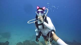 Kiona 潛水不忘撿海廢 Fun diving in Taiwan【潛潛的民宿・潛水・貓】小琉球平日住宿優惠小琉球潛水優惠貓民宿小琉球包棟民宿 [upl. by Ilyk]