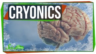 Cryonics Could We Really Bring People Back to Life [upl. by Alysoun]