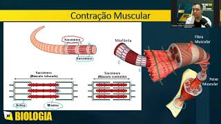 Questão 36 SME SP 2023  Contração Muscular [upl. by Steel]