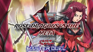 Rose Dragons Vs The Meta  YuGiOh Master Duel [upl. by Lorre582]