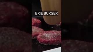 Brie Burger Recipe  Brie Burger from United States  Brie Burger Street Food Recipes [upl. by Rema390]