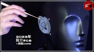 【JGA  耳介】2023年耳介まとめ👂1時間【ASMR】 [upl. by Lapotin437]