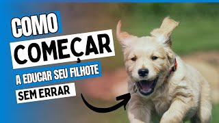 Guia Completo de filhotes para INICIANTES  Dicas para filhotes de cães [upl. by Ossy224]