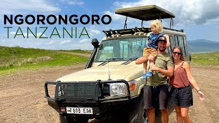 NGORONGORO 1 Safari Tanzania TRAVEL GUIDE to the CRATER and Great Migration [upl. by Ecnerwaled434]