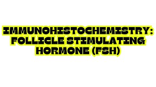 IMMUNOHISTOCHEMISTRY FOLLICLE STIMULATING HORMONE FSH [upl. by Aneroc]