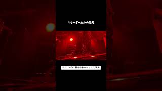 ワウペダル大好き系ギターボーカルの足元 ライブ ギター オリジナル曲 ギターボーカル [upl. by Adnilec]