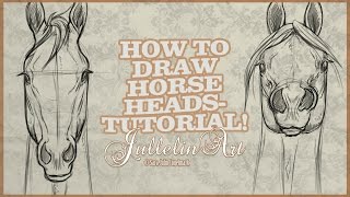 How To Draw Horse Heads From The Front  Tutorial [upl. by Dnomed]