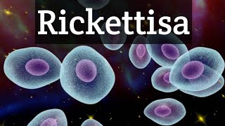 Rickettsiamedical microbiologyHindiintracellular parasite [upl. by Aromas]