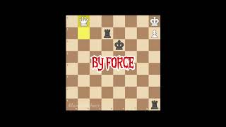 gotham edit chess fabianocaruana gothamchess gukesh hikarunakamura magnuscarlsen levyrozman [upl. by Nair658]