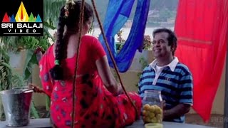 Krishna Movie Brahmanandam Raviteja Comedy  Ravi Teja Trisha  Sri Balaji Video [upl. by Araz]