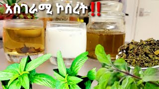 🌱የኮሰረት ዘይት❗ በወተትና በሻይ አዘገጃጀት📌 የብዙ ጤና ጥቅሞቹ በደጃችን ያለlippia abyssinca jery tube Ethiopian food [upl. by Amos123]