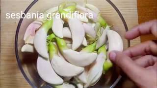 Sesbania grandiflora Fry Recipe [upl. by Felipa872]