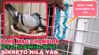 EP542  GANITO PALA TEKNIK NG MGA CHAMPION SA NUEVA ECIJA [upl. by Eisen969]