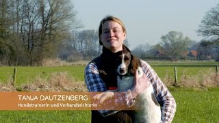 Basisausbildung für den brauchbaren Jagdhund quotSitz und Platzquot [upl. by Lezah]