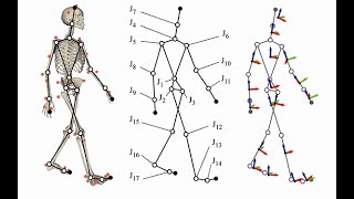 what is biomechanics How can biomechanics be used in sports [upl. by Lashonde]