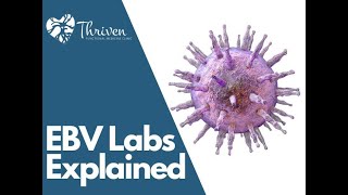 EBV Labs Explained [upl. by Luas272]