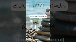 SurahAtTawbah ChapterThe Repentance verse 40 quranrecitation holyquran quran shorts [upl. by Emelen]