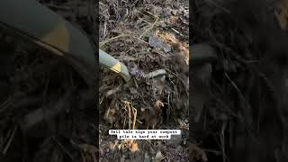 Steamy Transformation Inside Look at Composting Process [upl. by Sotnas]