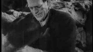 Its Alive  Frankenstein 28 Movie CLIP 1931 HD [upl. by Schwejda621]