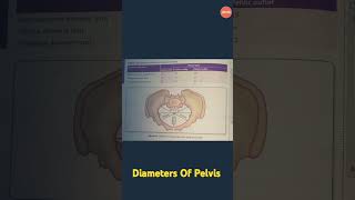 Pelvis DiameterNursingEducationp9e viralshort viralvideo gynecology nursing [upl. by Nnaycnan]