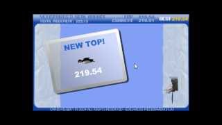 Lets Play Yeti Sports  Part 3  Seal Bounce  Flash Game  Kostenlos  Download  Browsergame [upl. by Bren]