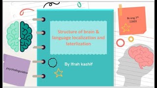 Structure of brain amplanguage localization and lateralization [upl. by Nodarse]