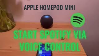 How to play Spotify on HomePod Mini via Voice Control  Spotify per Sprachbefehl auf HomePod [upl. by Nelubez440]