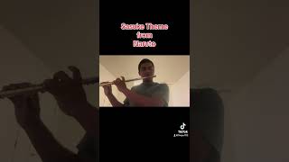 Sasuke Theme from Naruto  Flute [upl. by Fabria491]