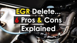 EGR Delete Or Blocking  Pros And Cons Best Explained [upl. by Tidwell]