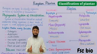 Kingdom plantae class 11  classification of plantae class 11 [upl. by Nyledam]