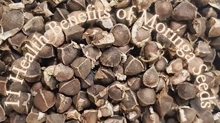 11 Health Benefits of Moringa Seeds [upl. by Bink39]