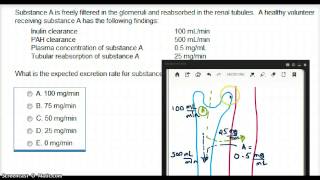 507 CALCULATING EXCRETION RATE [upl. by Jordon]