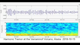 Is Yellowstone Caldera Seeing Harmonic Tremor What harmonic tremor actually looks like [upl. by Ardeid]