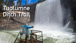 A Unique Hiking in Main Tuolumne Ditch Trail to Lyons Dam [upl. by Losiram]