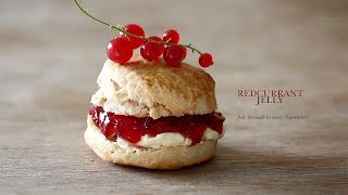 Redcurrant Jelly 까치밥 나무열매 잼  レッドカラントジャム [upl. by Felton]