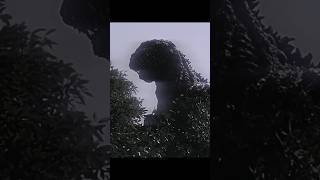 Shin Godzilla Edit  Milord amp Blindheart  Despair Time Slowed shorts godzilla shingodzilla [upl. by Leiser]