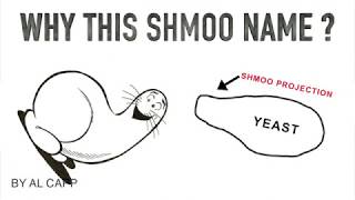 What are Shmoo Projections in Yeast [upl. by Bride]