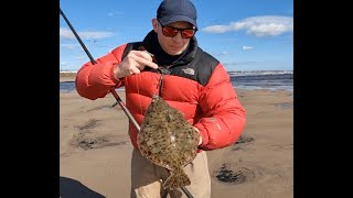 Spring Beach Fishing for BIG Flounders  Rigs Hints and Tips  Cambois  Northumberland [upl. by Felty989]