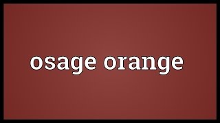 Osage orange Meaning [upl. by Ilario]