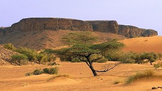 Sahara mauritanien  retour des touristes pourrait rimer avec espoir de paix [upl. by Lerrad775]