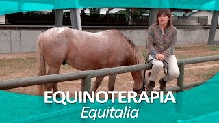 EQUINOTERAPIA 11  Equitalia [upl. by Yelsew]