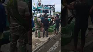 bongkar ikan tuna termahalSorotan 000  259 dari hadi Saputra sedang live sekarang [upl. by Nyleaj133]