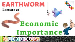 Class 11Zoology LecturesDiscuss about the Economic Importance amp Harmful Aspect of Earthworm222 [upl. by Renato]