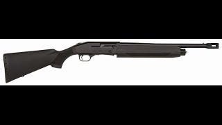 Mossberg 930 shotgun Review Shooting [upl. by Hardy]