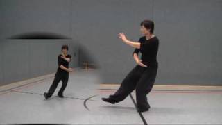 Tai Chi ÜbungenYang Stil Tai Chi 103er Form Taijiquan Vogel am Schwanz packen [upl. by Daveda]