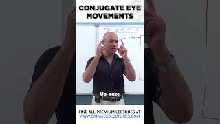 Conjugate Eye Movements drnajeeb shortvideo drnajeeblectures youtubeshorts [upl. by Buckden]